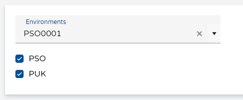 Load multicompany screen